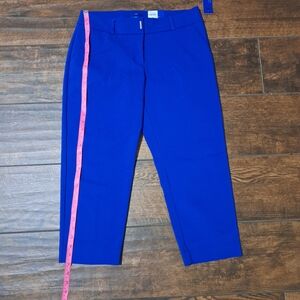 Apt. 9 Cobalt Blue Women's Pants